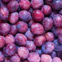 SugarMute-ingrediant-Plum